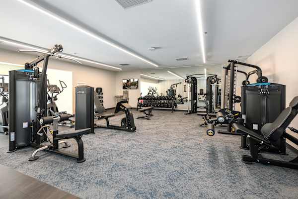 A spacious gym with a variety of equipment including treadmills, stationary bikes, and weight machines.