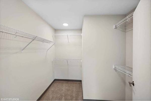 A white closet with a brown carpet and a white door.