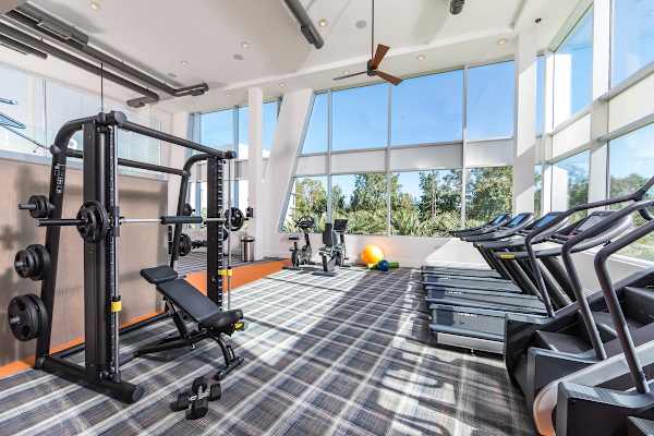 A gym with a row of treadmills and a weight bench.