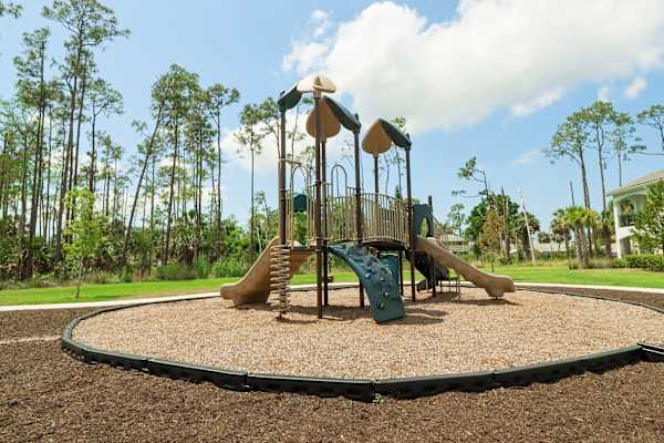 a playground with a slide and monkey bars at The Crest at Naples, Naples, FL