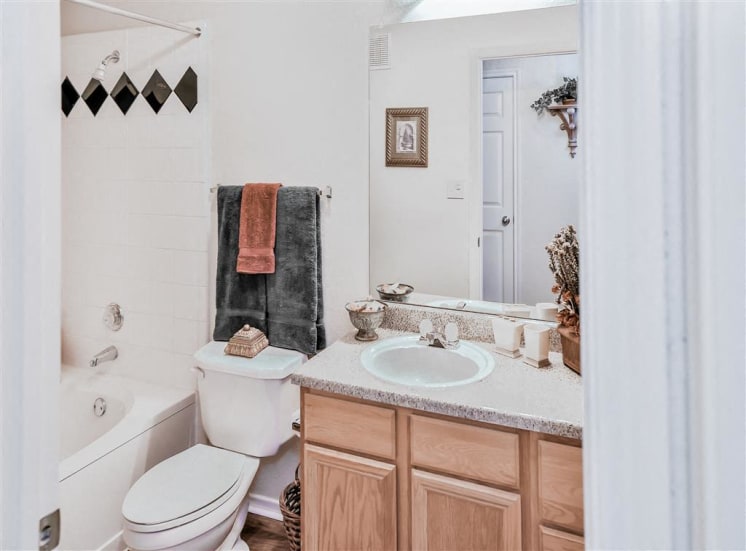 Mirrored vanity in bathroom with storage Gates de Provence apartments for rent in Dallas, TX.