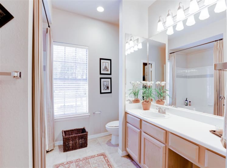 Mirrored vanity at Saddle Brook Apartments in North Dallas, TX, For Rent. Now Leasing 1, 2 and 3  bedroom apartments.