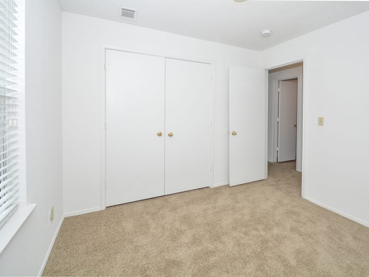 Large Bedroom Closet with Plush Carpeting