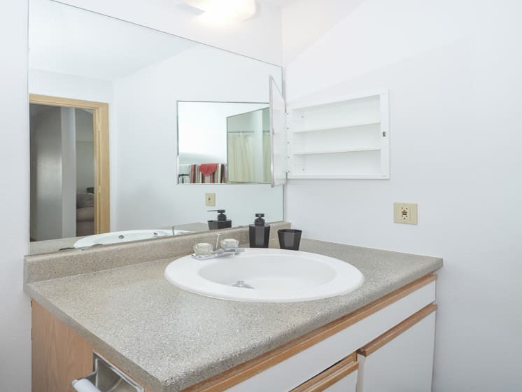 Bathroom Vanity with Mirrored Medicine Cabinet