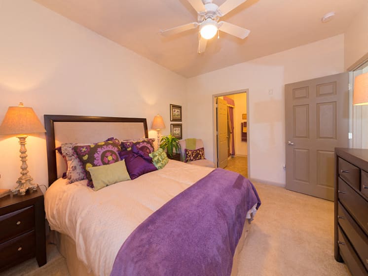 Carpeted Bedroom with Ceiling Fans