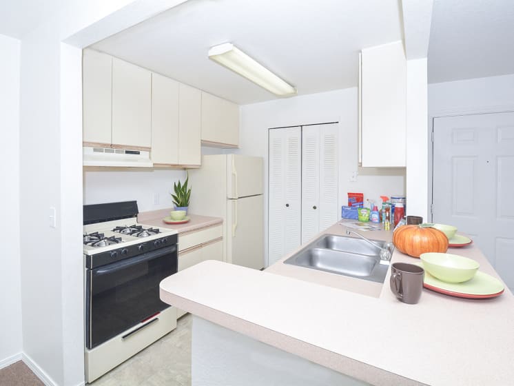 Fully-Equipped Kitchen