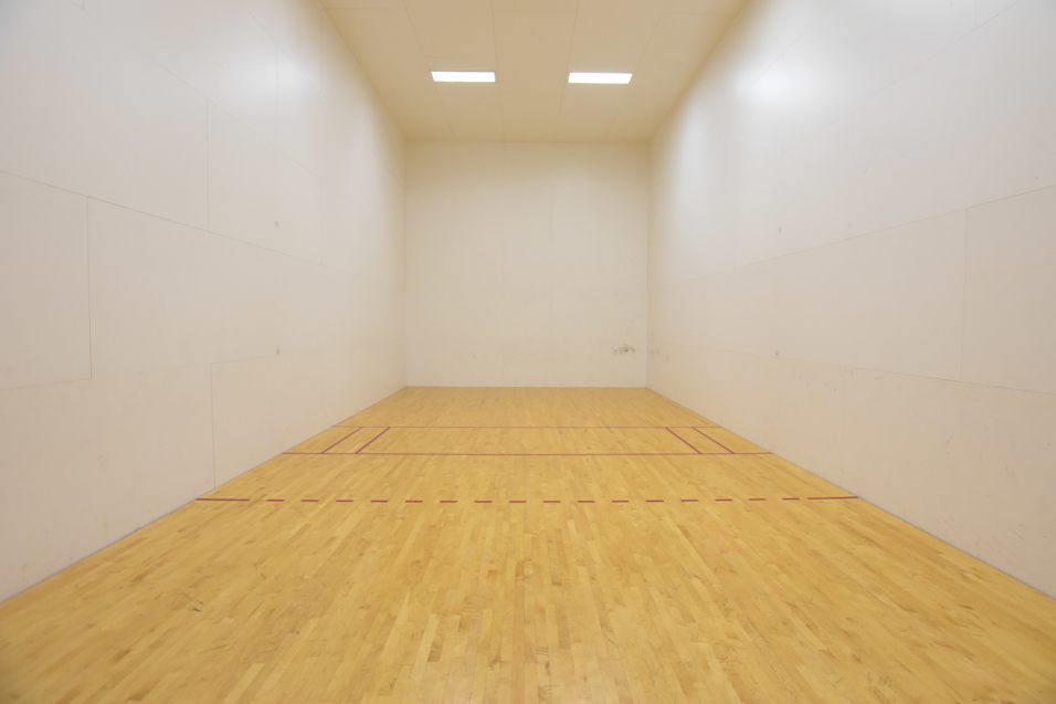 Racket ball