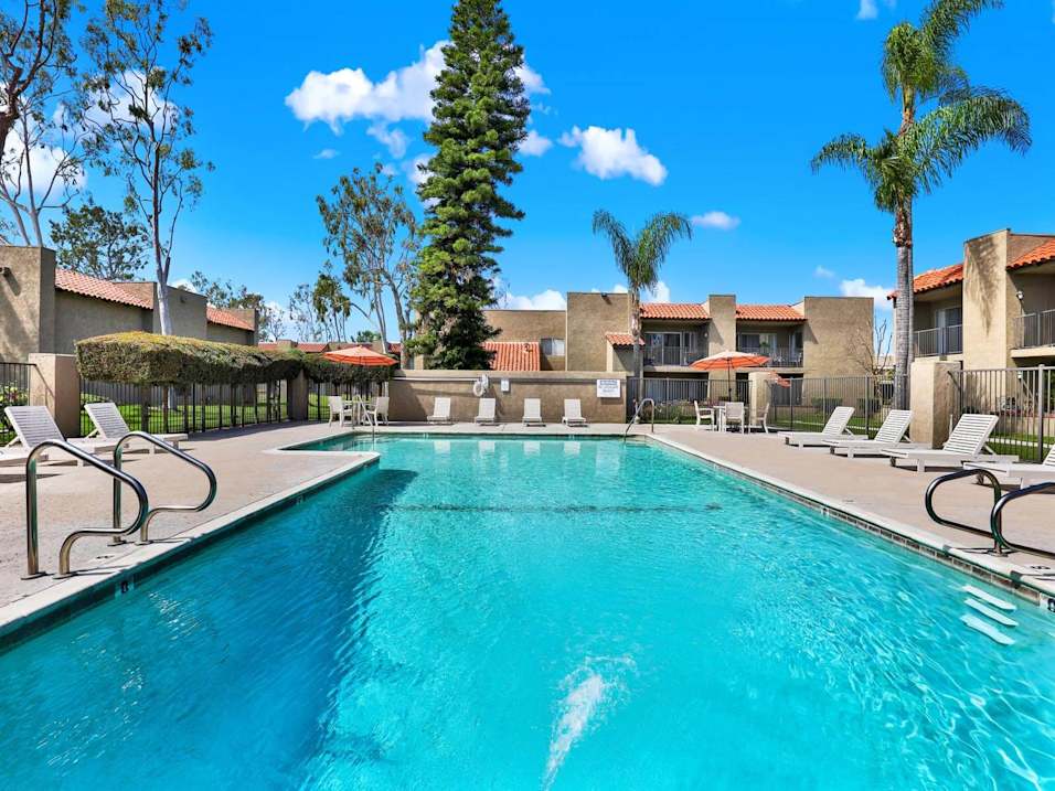 A swimming pool surrounded by lounge chairs and palm trees.