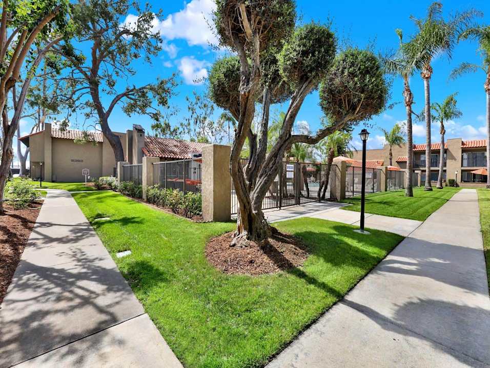 A tree in a grassy area with a sidewalk and a building in the background.