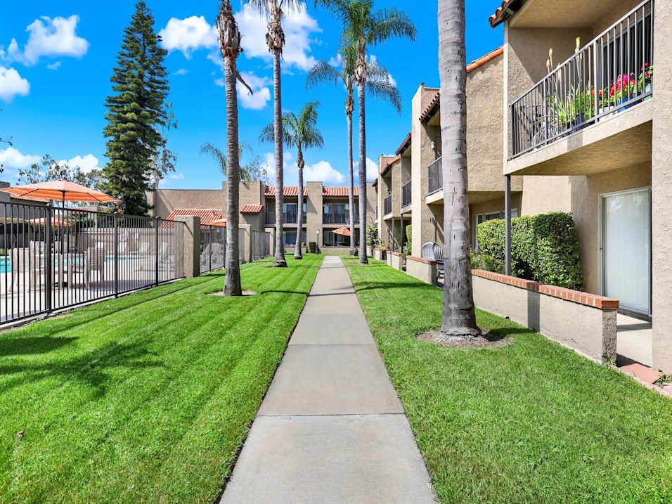 A sunny day at a residential area with a sidewalk and palm trees.
