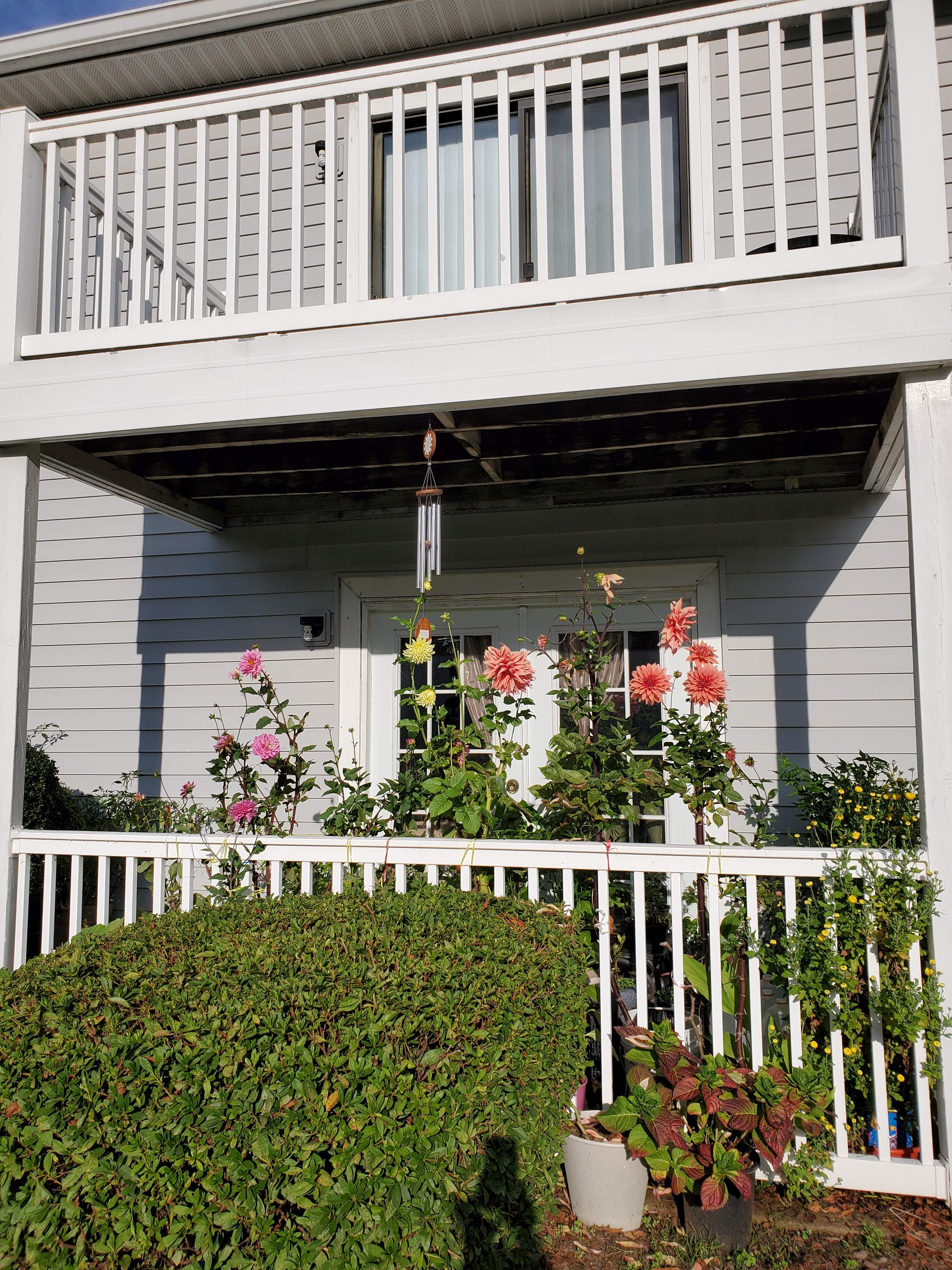 Photos and Video of Merriwood Apartments in Cary, NC