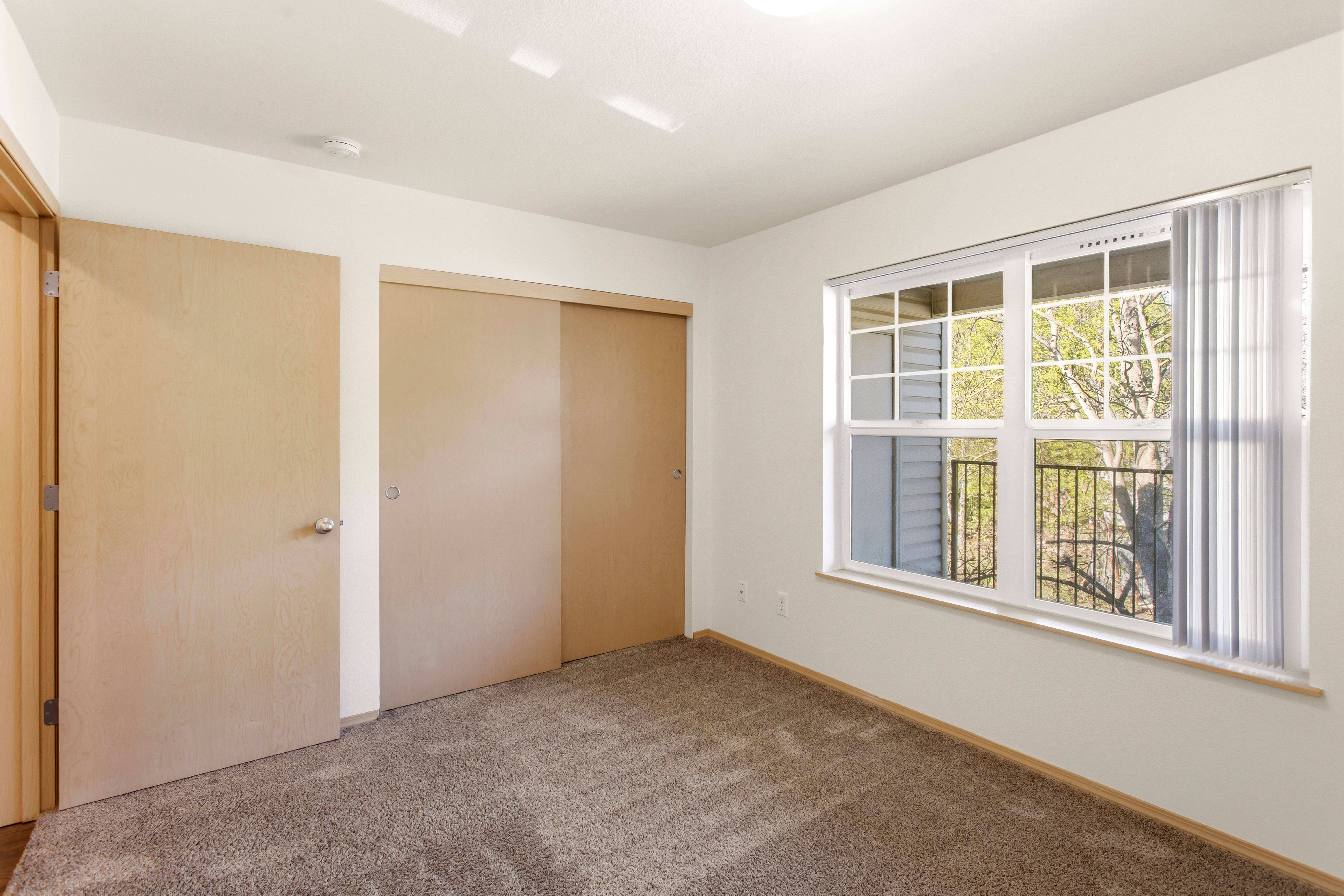 Large Bedroom