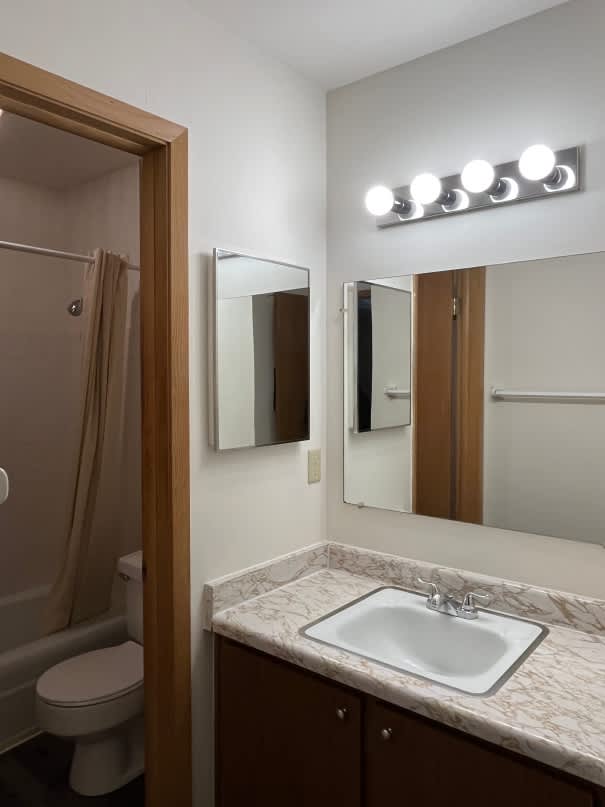 A bathroom with a sink, mirror, and toilet.