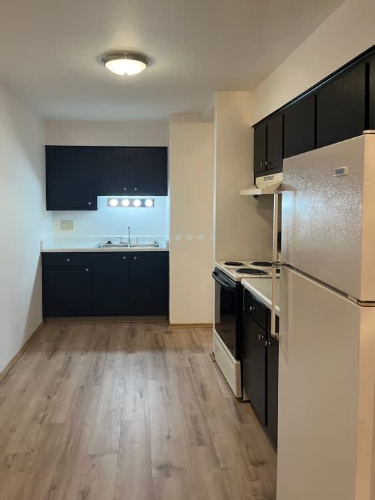 A kitchen with black cabinets and a white fridge.
