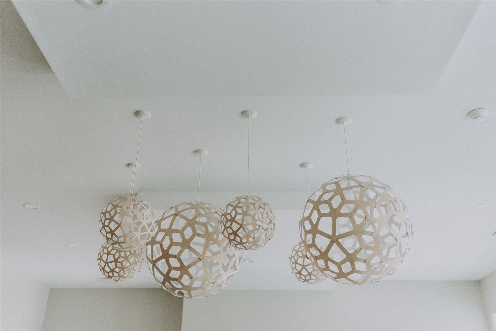 Gallery Photo 18