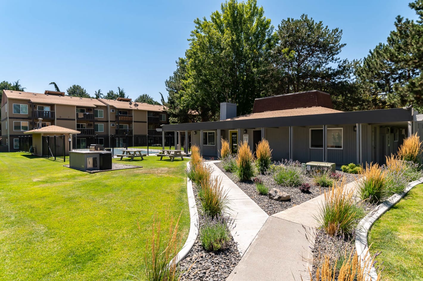 Photos And Video Of Arlo On 10th In Kennewick Wa