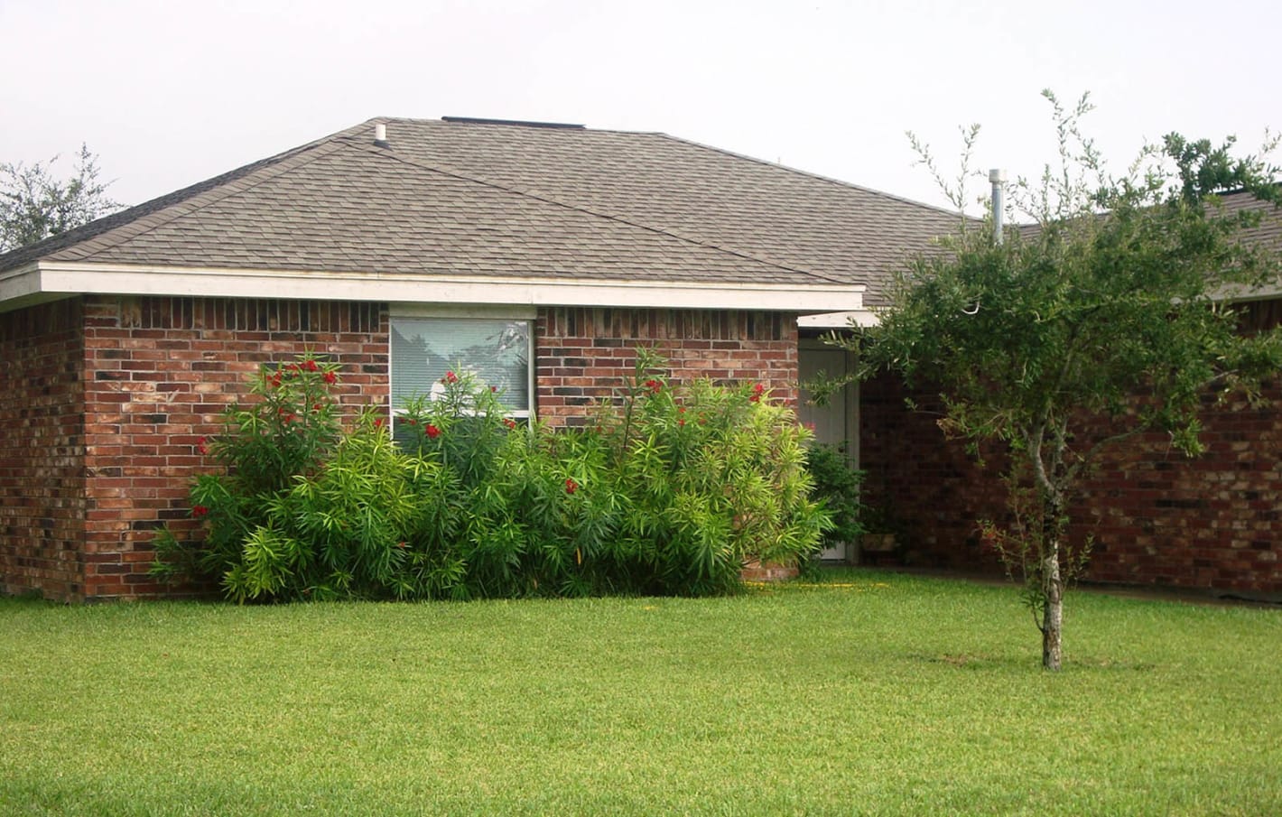 Minimalist Arbor Cove Apartments Donna Tx with Best Design