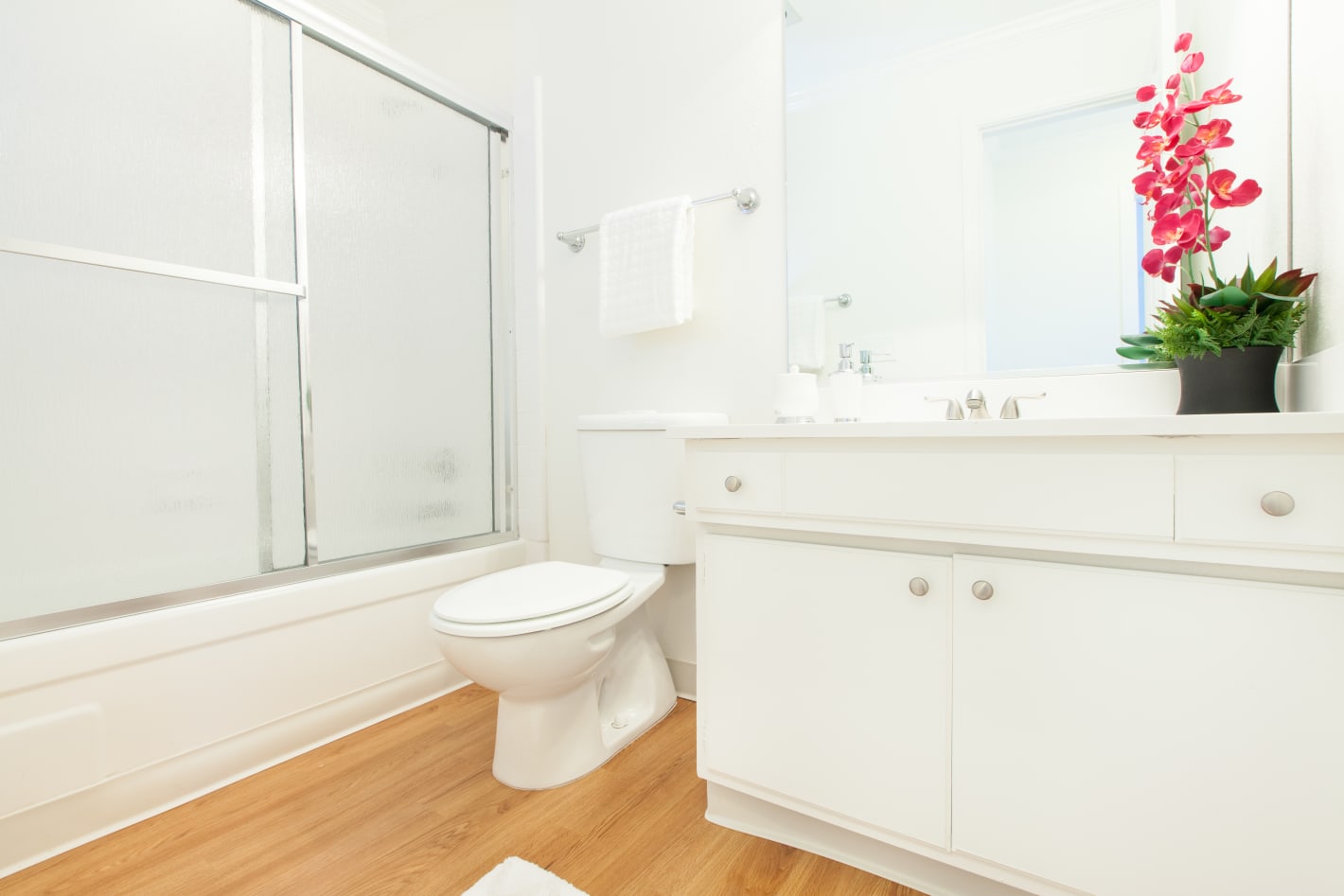 1 Bed - 1 Bath