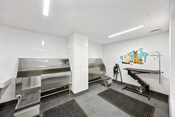 Pet Spa
