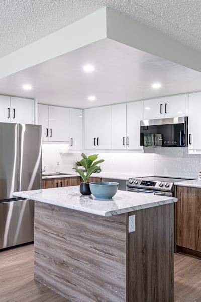 Kitchen in a suite at Northfield Gardens