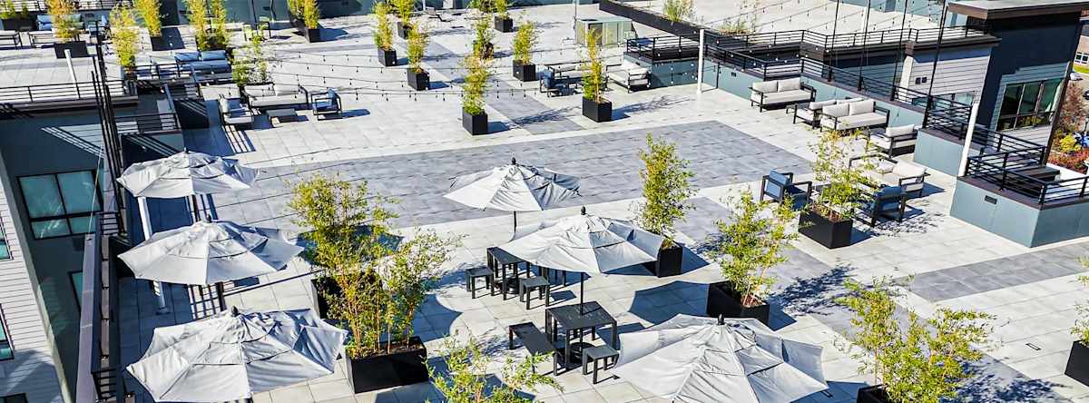 Aerial view of the rooftop lounge at The Botanic