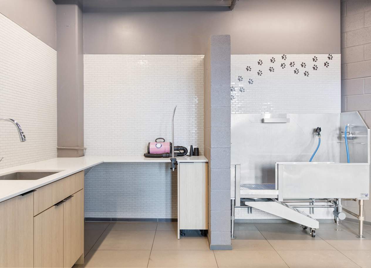 a bathroom with a sink and a chair and a shower