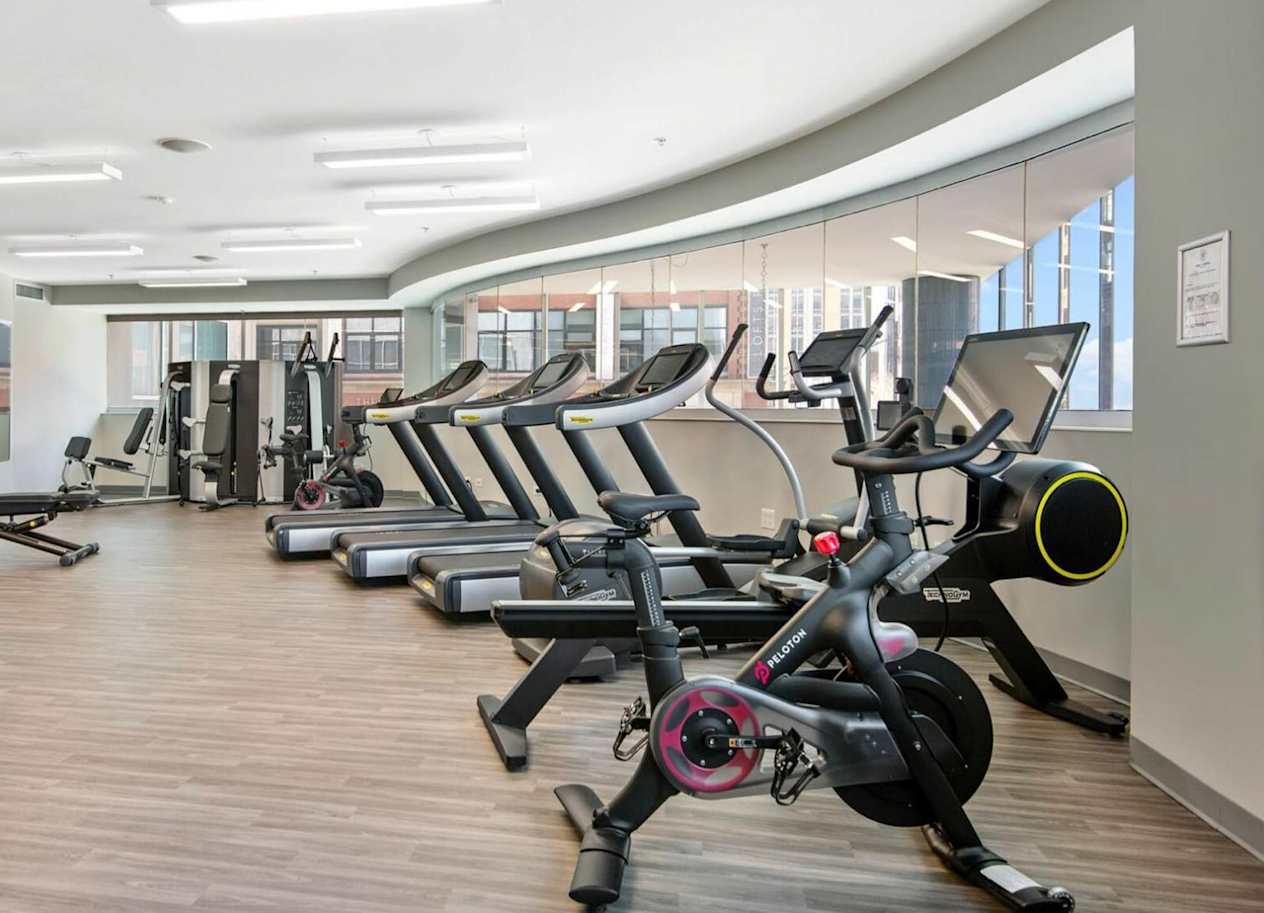 a row of exercise bikes and elliptical trainers in a fitness room