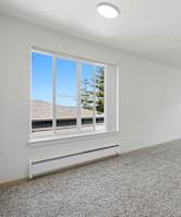 A spacious room with carpeted floor and large windows.