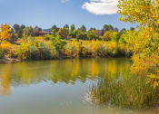 Thumbnail 12 of 23 - Quail Lake Trail at Bonterra Lakeside Apartments, Colorado Springs, CO 80906