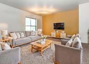 Thumbnail 18 of 19 - A living room with a grey couch, a wooden coffee table, and a television.