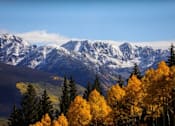 Thumbnail 8 of 10 - A mountain range with snow-covered peaks and a forest of trees with yellow leaves in the foreground.