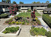 Thumbnail 23 of 27 - landscaped courtyard