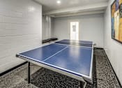 Thumbnail 25 of 27 - ping pong table