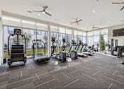 Thumbnail 7 of 39 - the state of the art gym is equipped with cardio equipment and floor to ceiling windows at LynnCora, Texas, 75052