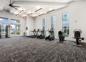 Thumbnail 42 of 79 - fitness center at Mira at Palmer Ranch in Sarasota