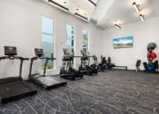 Thumbnail 43 of 79 - fitness area at Mira with cardio equipment in Sarasota