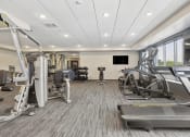 Thumbnail 24 of 29 - the gym at the enclave at woodbridge apartments in sugar land, tx