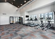 Thumbnail 7 of 35 - Mural-Fitness Center