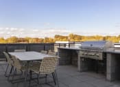 Thumbnail 20 of 33 - rooftop grills at apartments near inver grove heights
