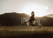 Thumbnail 4 of 12 - a cowboy on a horse in a field