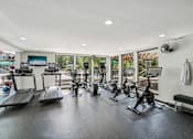 Thumbnail 25 of 33 - River Oaks at Rochester Hills Apartments fitness center with treadmills, ellipticals, and stationary bikes facing pool patio.