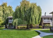 Thumbnail 17 of 25 - Very large willow tree, lush grass and sidewalks in front of apartment exterior