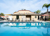 Thumbnail 29 of 33 - A pool in front of a house with a fence and palm tree.