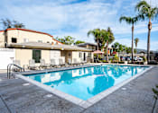 Thumbnail 28 of 33 - A swimming pool surrounded by palm trees and a building.