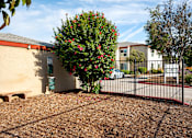 Thumbnail 10 of 33 - A small tree with red flowers is in front of a building.