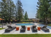 Thumbnail 13 of 25 - Santa Cruz CA Apartments for Rent - Cypress Point - Circular Pool with Gated Entry, Poolside Lounge Chairs, and Umbrellas, with Trees in the Background