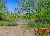 Thumbnail 36 of 37 - A wooden bench sits on a dirt path next to a river.