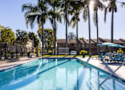 Thumbnail 1 of 36 - A swimming pool surrounded by palm trees and lounge chairs.