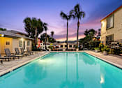 Thumbnail 1 of 33 - A swimming pool surrounded by palm trees and lounge chairs.