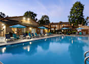 Thumbnail 4 of 36 - A swimming pool surrounded by lounge chairs and umbrellas.